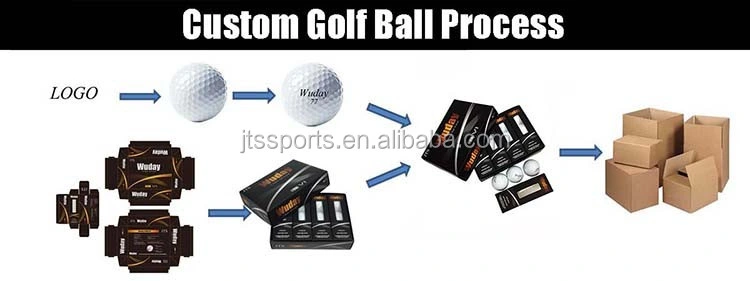 High Quality Custom Logo 2 Piece 3 Layer Golf Ball Professional